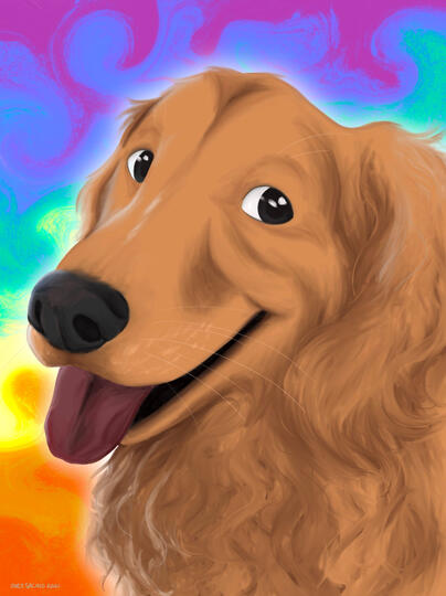Tucker - Pet Portrait Tucker - Pet Portrait